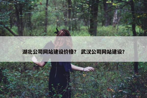 湖北公司网站建设价格？ 武汉公司网站建设？