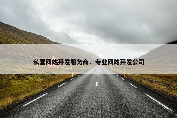私营网站开发服务商，专业网站开发公司