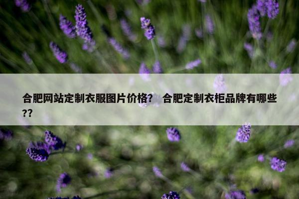 合肥网站定制衣服图片价格？ 合肥定制衣柜品牌有哪些?？