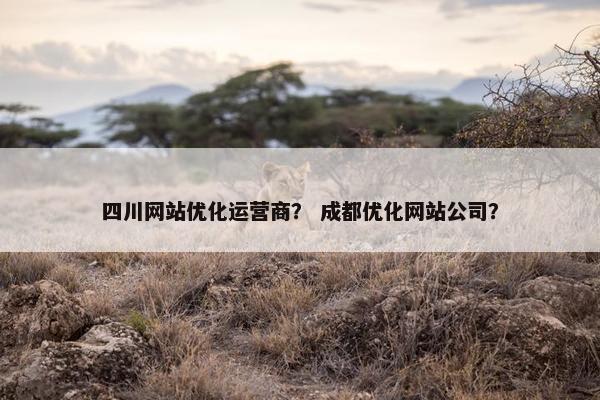 四川网站优化运营商？ 成都优化网站公司？