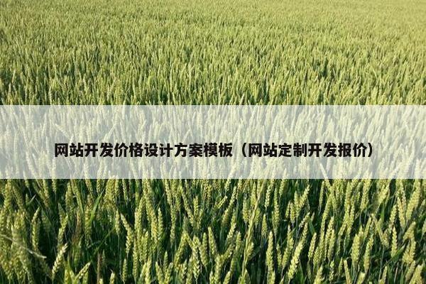 网站开发价格设计方案模板（网站定制开发报价）