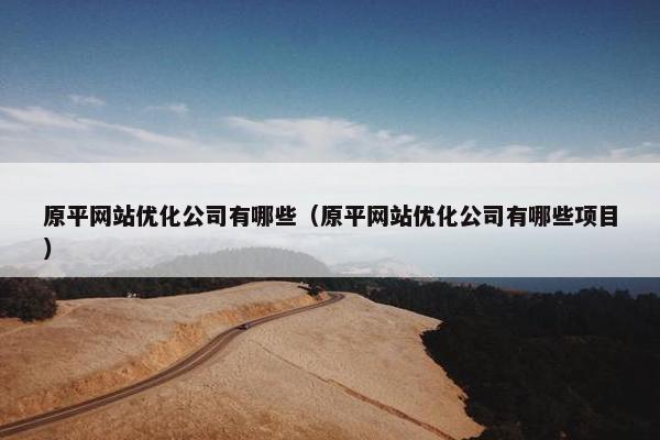 原平网站优化公司有哪些（原平网站优化公司有哪些项目）