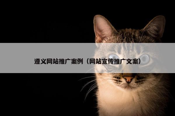 遵义网站推广案例（网站宣传推广文案）