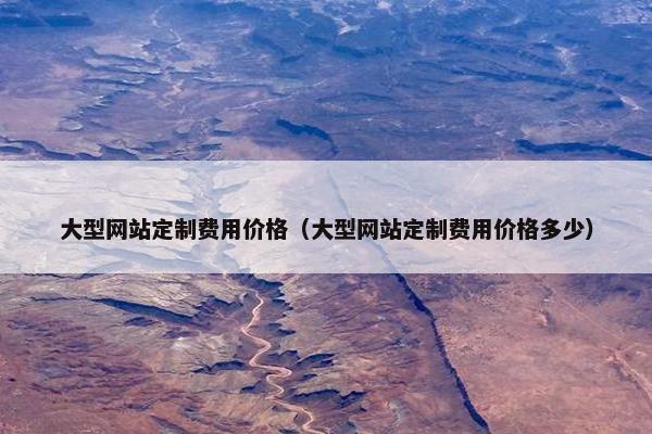 大型网站定制费用价格（大型网站定制费用价格多少）