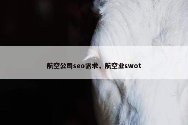 航空公司seo需求，航空业swot