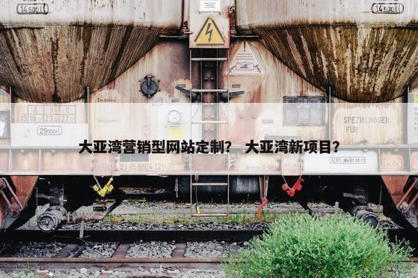 大亚湾营销型网站定制？ 大亚湾新项目？