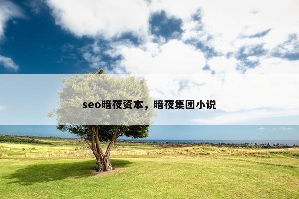 seo暗夜资本，暗夜集团小说