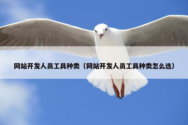 网站开发人员工具种类（网站开发人员工具种类怎么选）