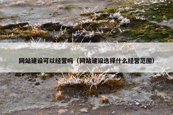 网站建设可以经营吗（网站建设选择什么经营范围）