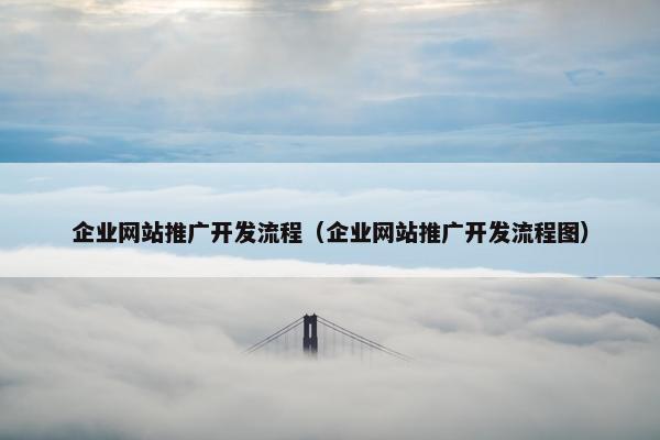 企业网站推广开发流程（企业网站推广开发流程图）
