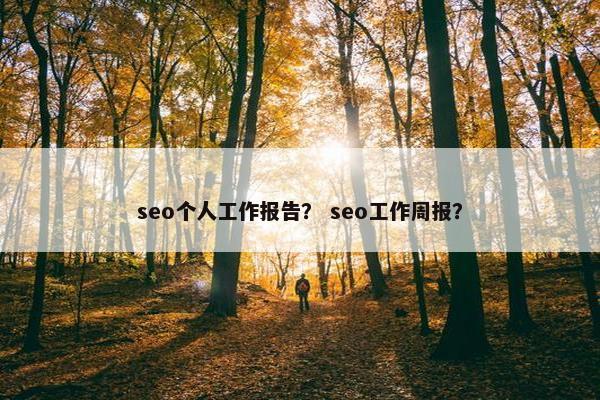 seo个人工作报告？ seo工作周报？