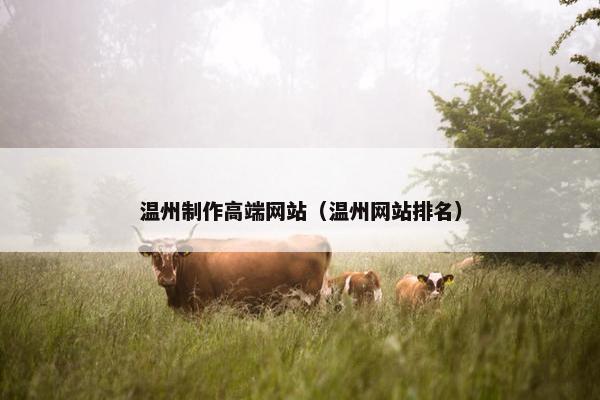 温州制作高端网站（温州网站排名）