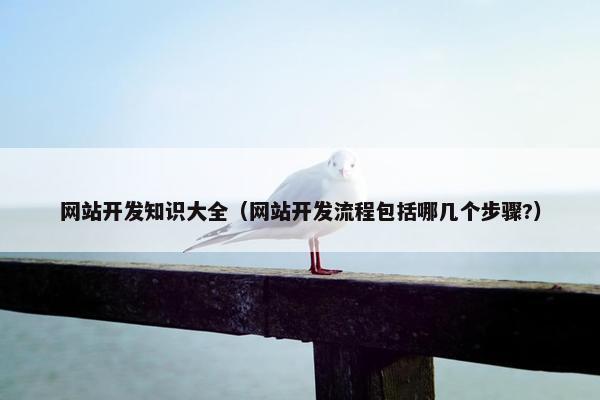 网站开发知识大全（网站开发流程包括哪几个步骤?）