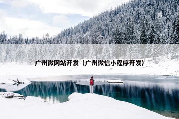 广州微网站开发（广州微信小程序开发）