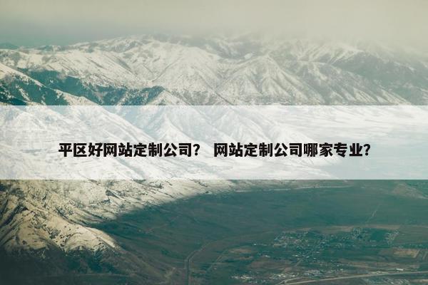 平区好网站定制公司？ 网站定制公司哪家专业？