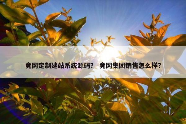竞网定制建站系统源码？ 竞网集团销售怎么样？
