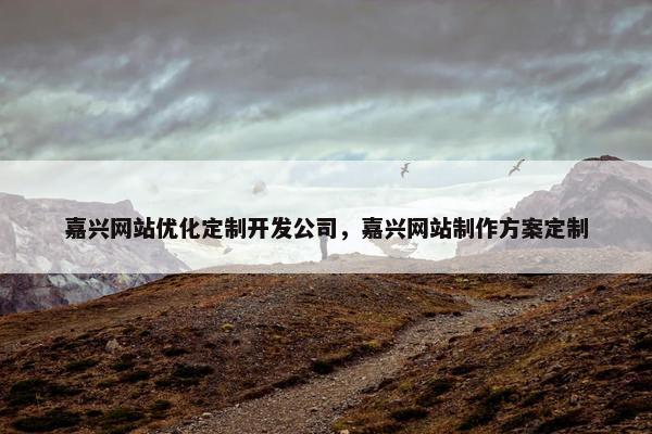 嘉兴网站优化定制开发公司，嘉兴网站制作方案定制