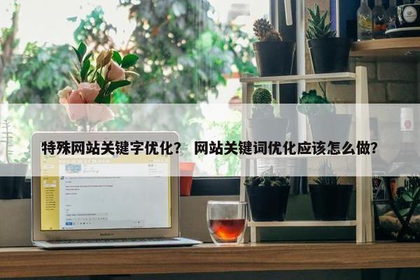 特殊网站关键字优化？ 网站关键词优化应该怎么做？