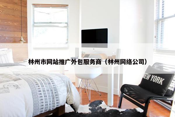 林州市网站推广外包服务商（林州网络公司）