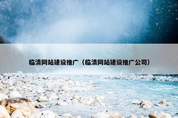 临清网站建设推广（临清网站建设推广公司）