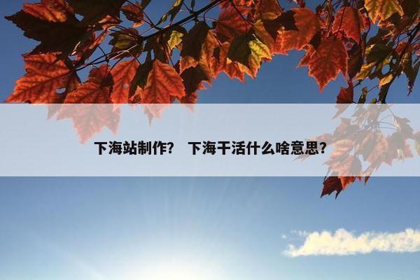 下海站制作？ 下海干活什么啥意思？