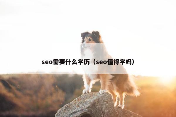 seo需要什么学历（seo值得学吗）
