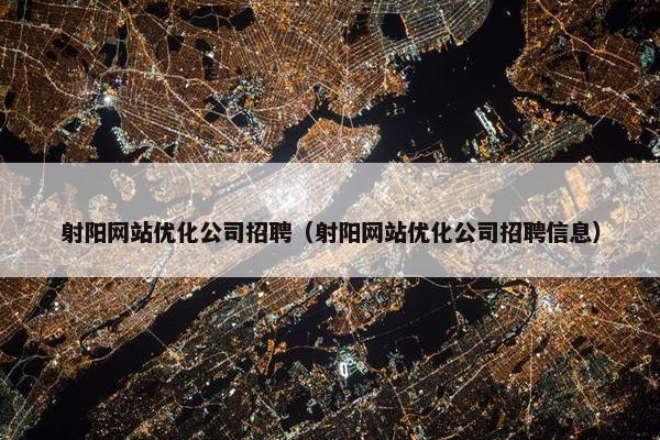 射阳网站优化公司招聘（射阳网站优化公司招聘信息）