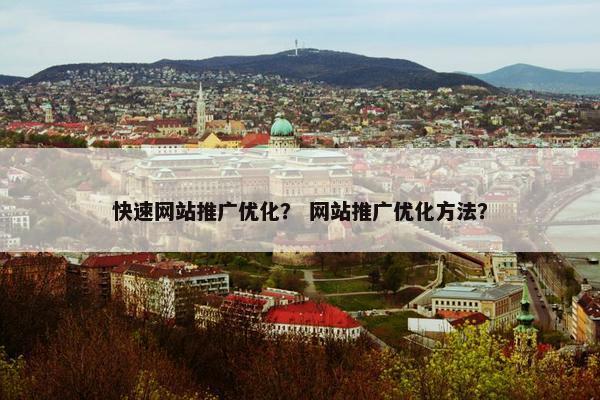 快速网站推广优化？ 网站推广优化方法？