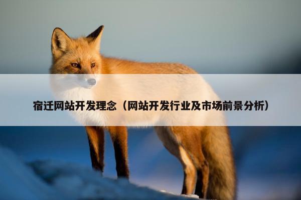宿迁网站开发理念（网站开发行业及市场前景分析）