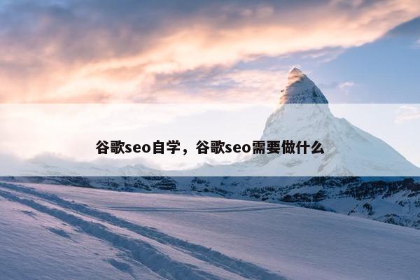 谷歌seo自学，谷歌seo需要做什么