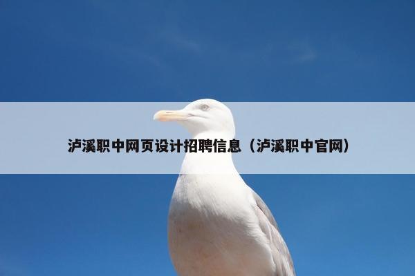 泸溪职中网页设计招聘信息（泸溪职中官网）