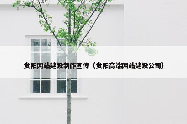 贵阳网站建设制作宣传（贵阳高端网站建设公司）