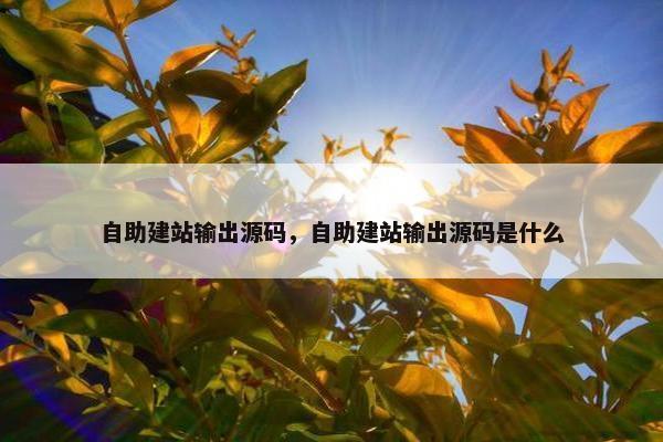 自助建站输出源码，自助建站输出源码是什么
