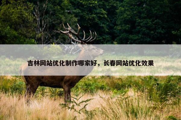 吉林网站优化制作哪家好，长春网站优化效果
