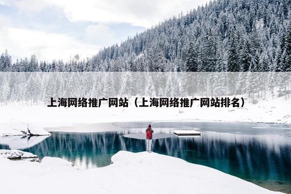 上海网络推广网站（上海网络推广网站排名）