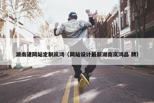 湖南建网站定制岚鸿（网站设计最新湖南岚鸿品 牌）
