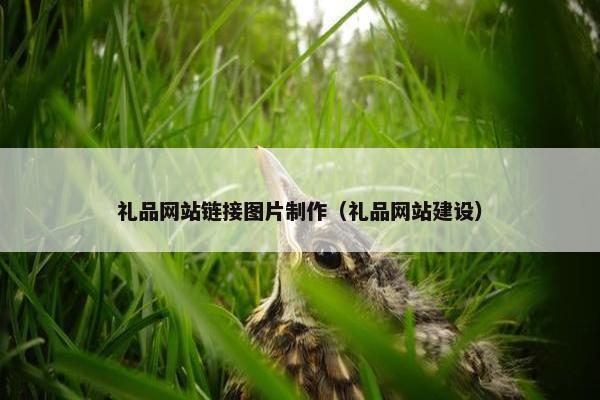礼品网站链接图片制作（礼品网站建设）