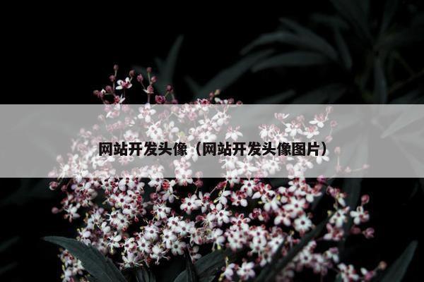 网站开发头像（网站开发头像图片）