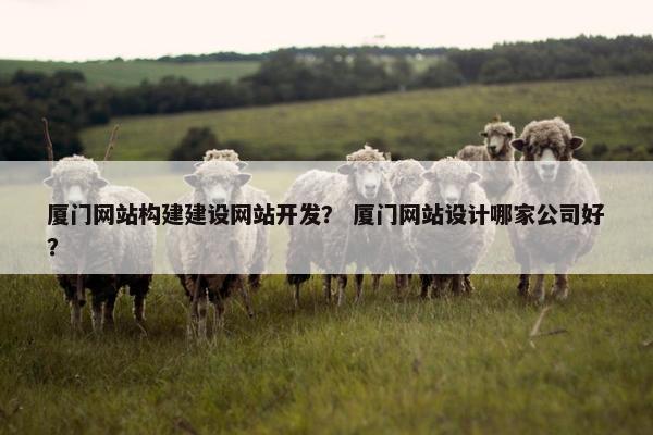 厦门网站构建建设网站开发？ 厦门网站设计哪家公司好？