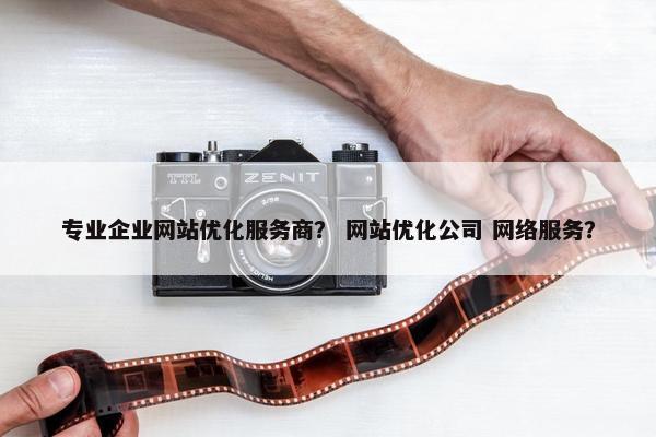专业企业网站优化服务商？ 网站优化公司 网络服务？