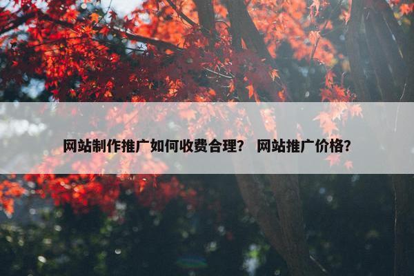网站制作推广如何收费合理？ 网站推广价格？