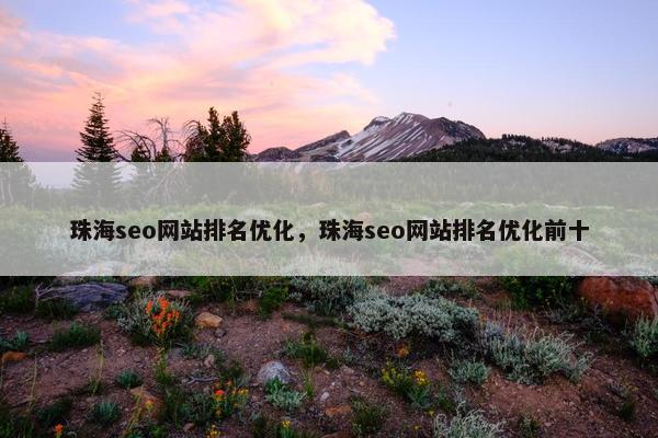 珠海seo网站排名优化，珠海seo网站排名优化前十