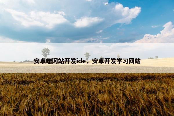 安卓端网站开发ide，安卓开发学习网站