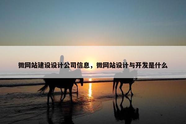 微网站建设设计公司信息，微网站设计与开发是什么
