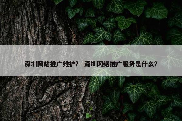 深圳网站推广维护？ 深圳网络推广服务是什么？