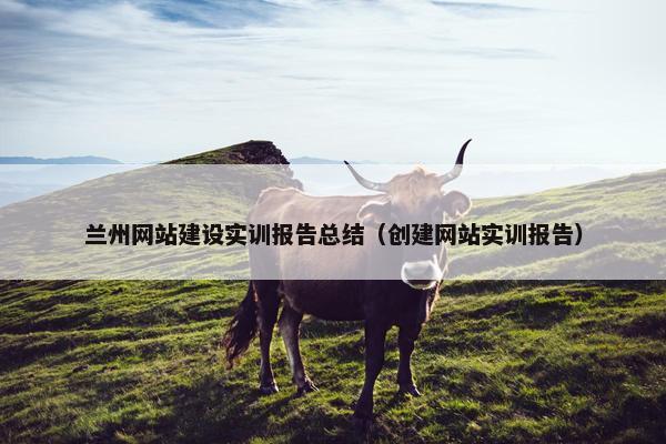 兰州网站建设实训报告总结（创建网站实训报告）