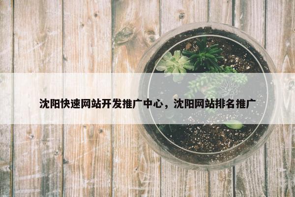 沈阳快速网站开发推广中心，沈阳网站排名推广