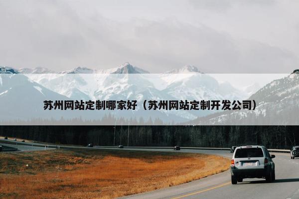 苏州网站定制哪家好（苏州网站定制开发公司）