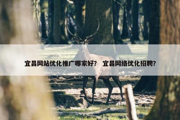 宜昌网站优化推广哪家好？ 宜昌网络优化招聘？