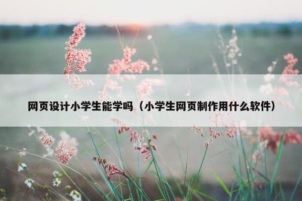 网页设计小学生能学吗（小学生网页制作用什么软件）